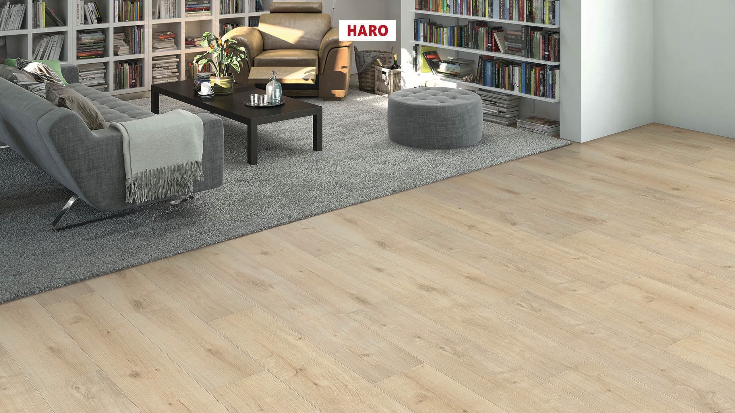 HARO Suelo laminado Edición especial NKL31 1-lama Roble Siena marrón blanco* cepillado mate Top Connect