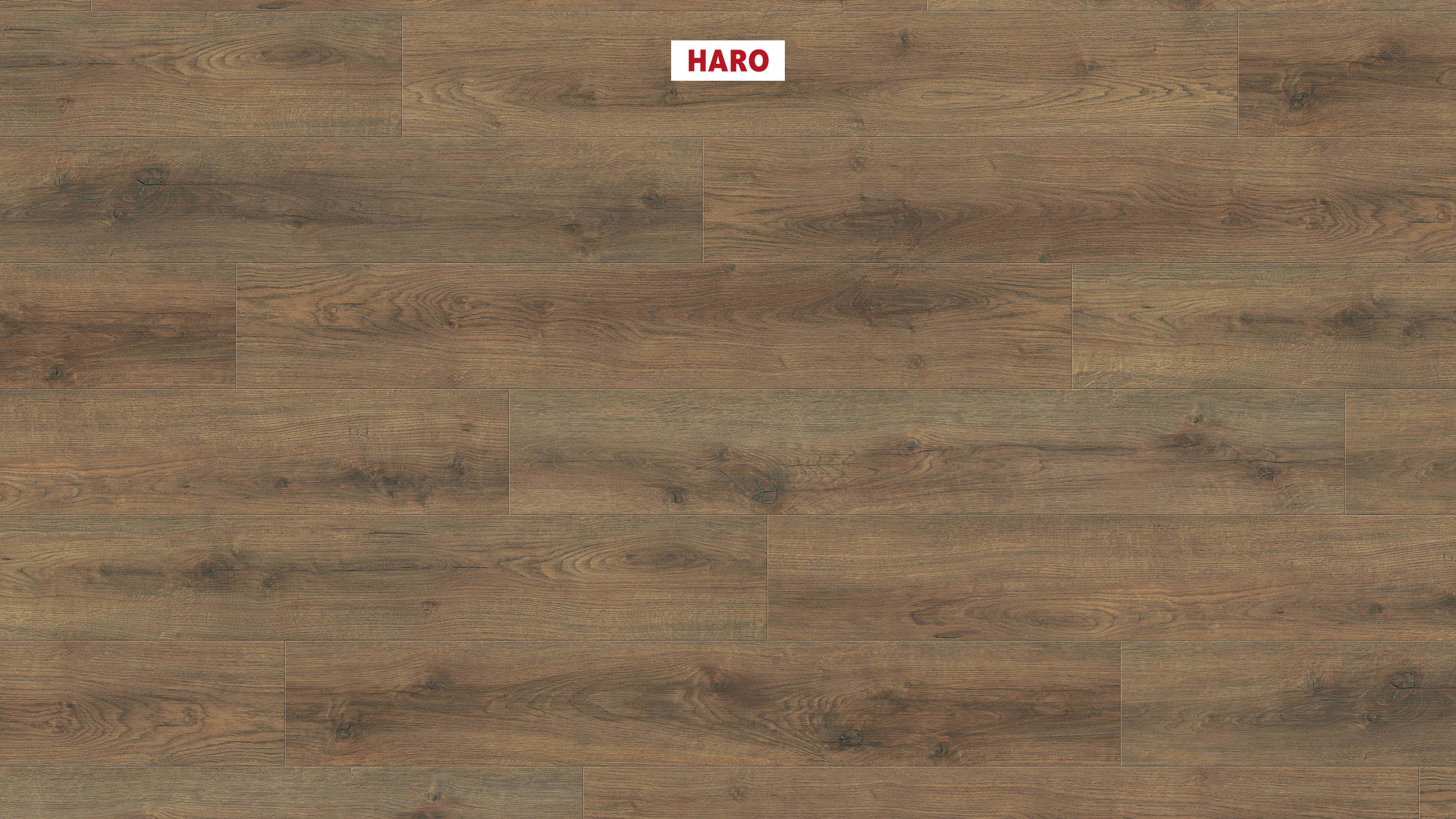 HARO Suelo laminado Edición especial NKL31 1-lama Roble Scarpa ahumado* cepillado mate Silent Pro Top Connect