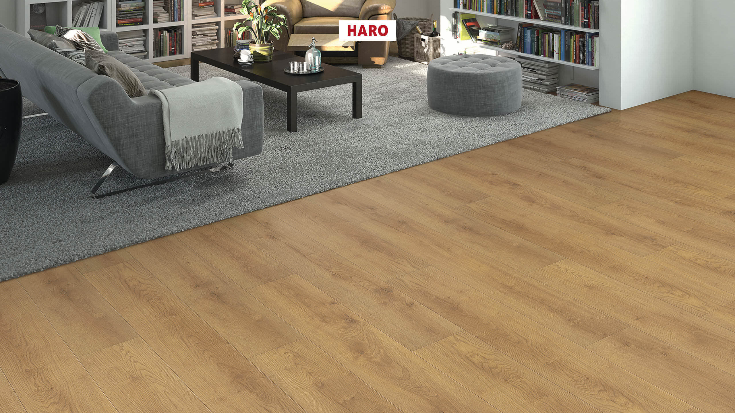 HARO Suelo laminado Edición especial NKL31 1-lama Roble Scarpa natur* cepillado mate Silent Pro Top Connect