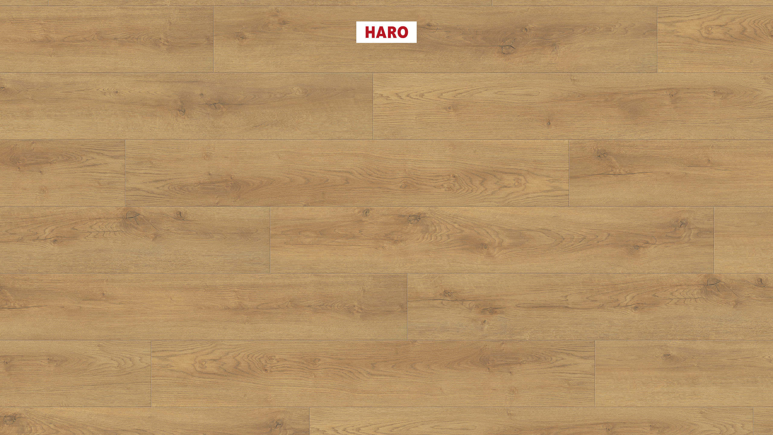 HARO Suelo laminado Edición especial NKL31 1-lama Roble Scarpa natur* cepillado mate Silent Pro Top Connect