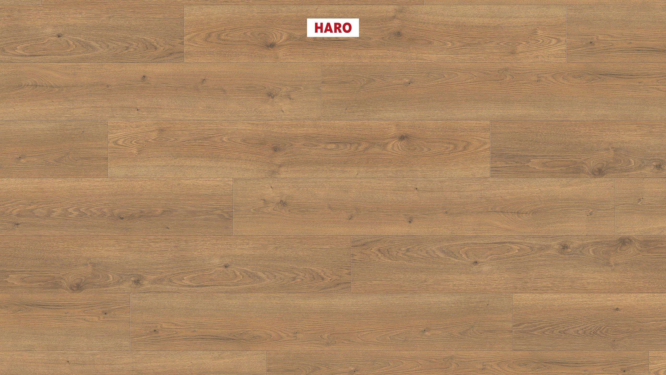 HARO Suelo laminado TRITTY 100 1-lama 4V Roble Flavia natur* authentic Top Connect