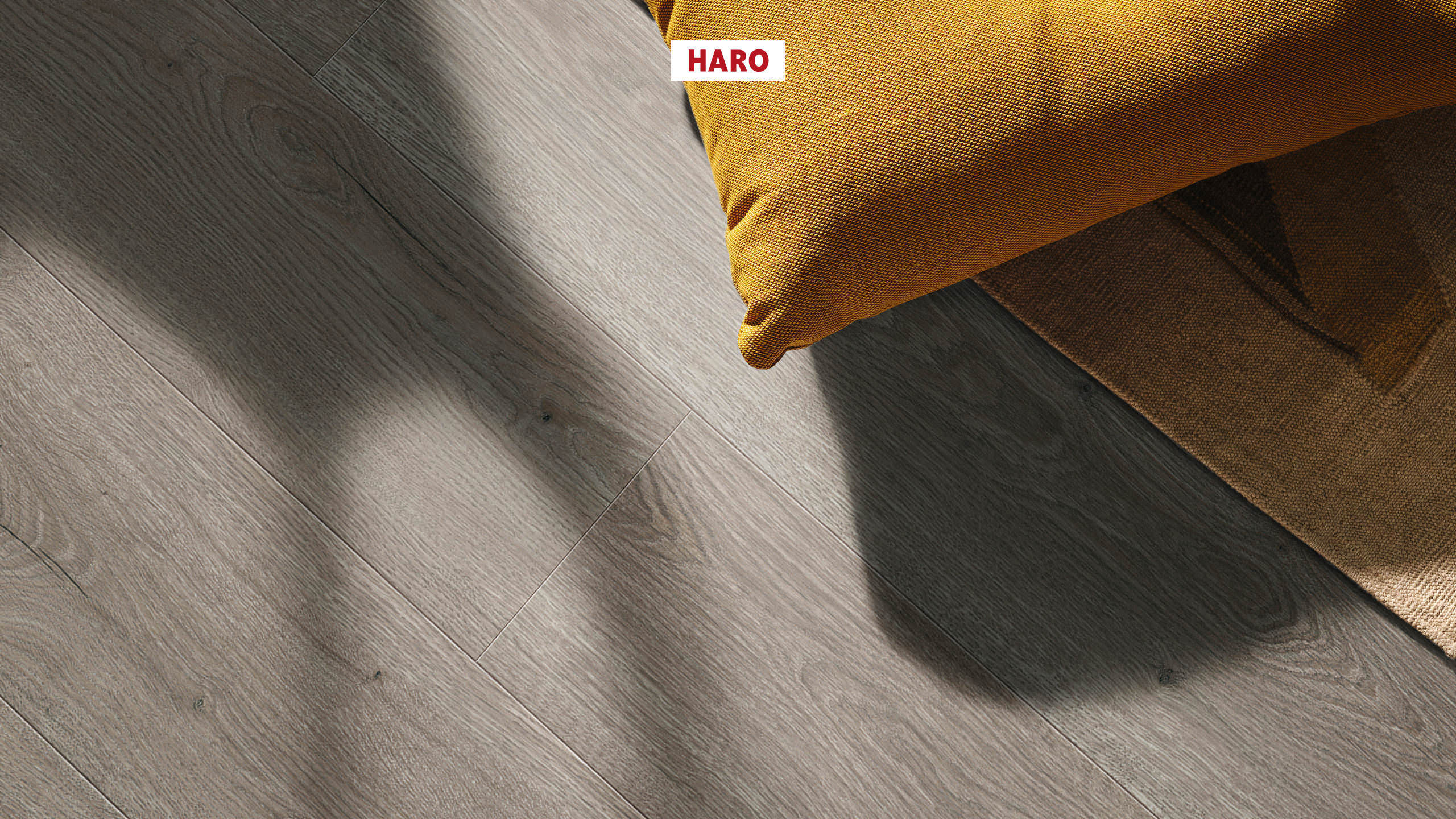 HARO Suelo laminado TRITTY 200 Aqua 1-lama 4V Roble Flavia gris* authentic Silent CT Top Connect
