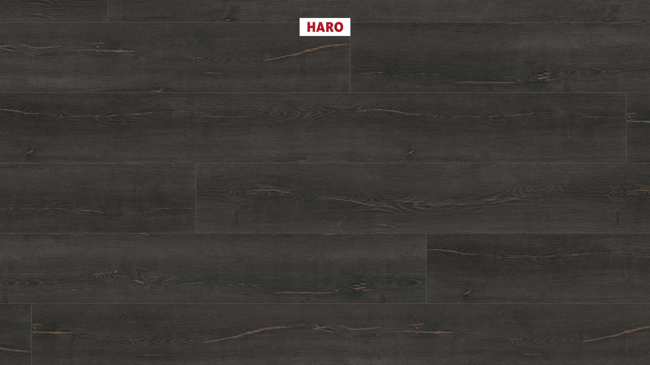 HARO Suelo laminado TRITTY 200 Aqua Gran Via 4V Roble Metallic negro* authentic Silent CT Top Connect