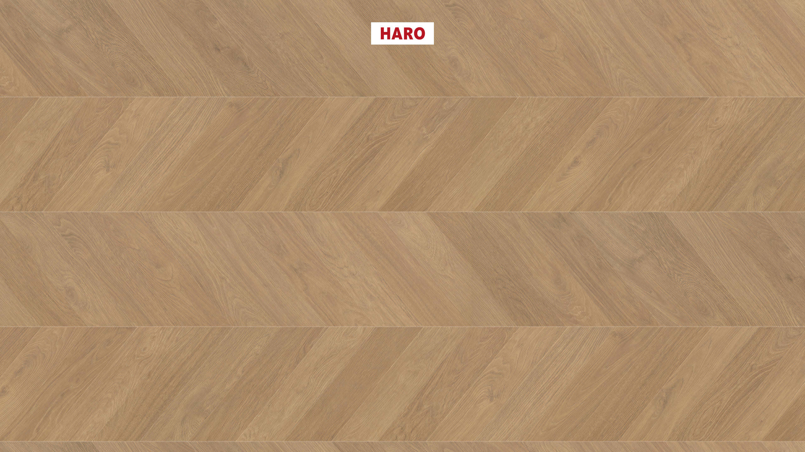 HARO Suelo laminado TRITTY 200 Aqua Chevron 4VM Roble natur* authentic Lock Connect plus