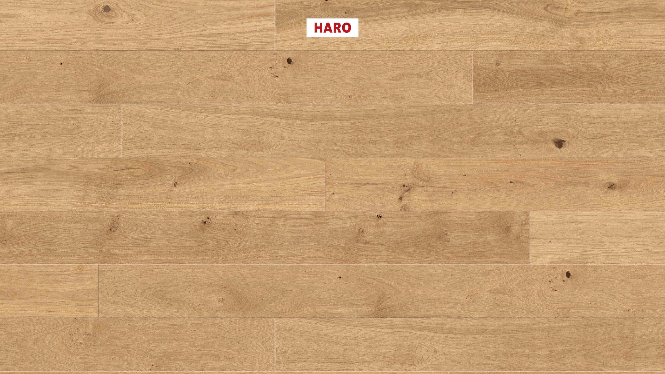 HARO Suelo de madera Parkettino 9,5 mm 1-lama 4V Roble Frankfurt cepillado naturaLin plus Top Connect