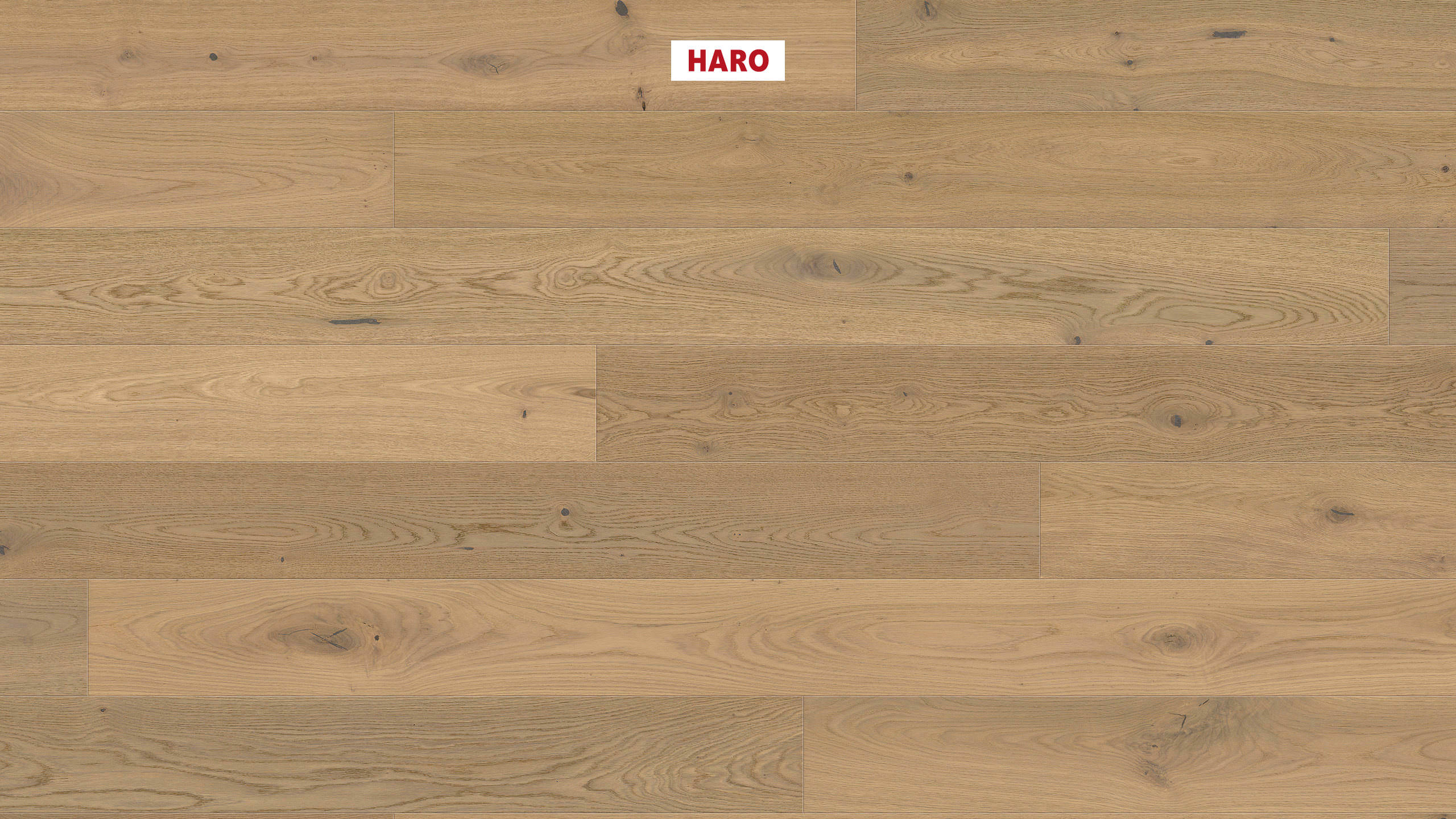 HARO PARQUET 4000 1-lama 180 4V Roble fumé blanco puro Sauvage cepillado naturaLin plus Top Connect