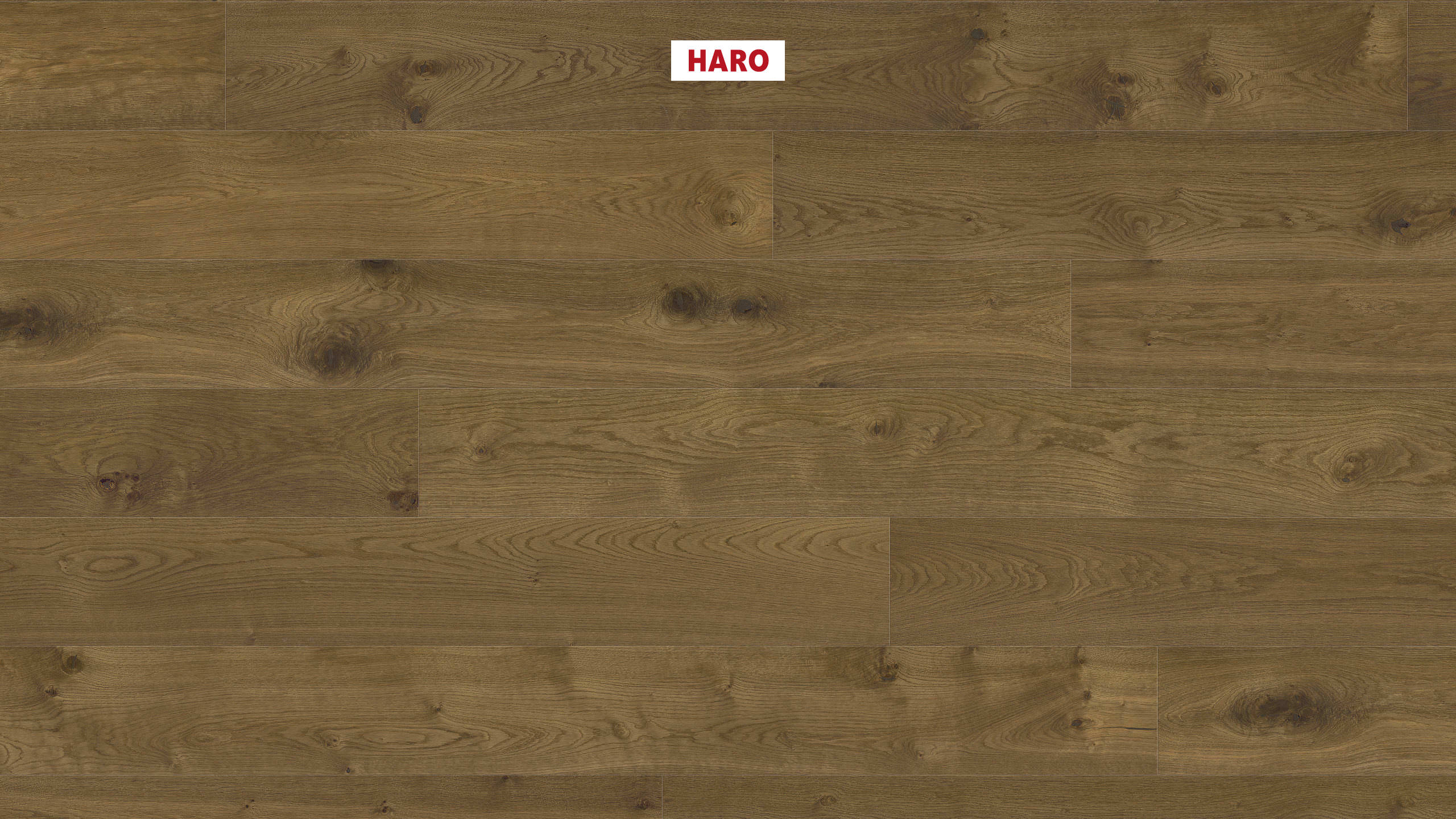 HARO PARQUET 4000 1-lama Plaza 240 4V Roble fumé Universal cepillado naturaLin plus Top Connect