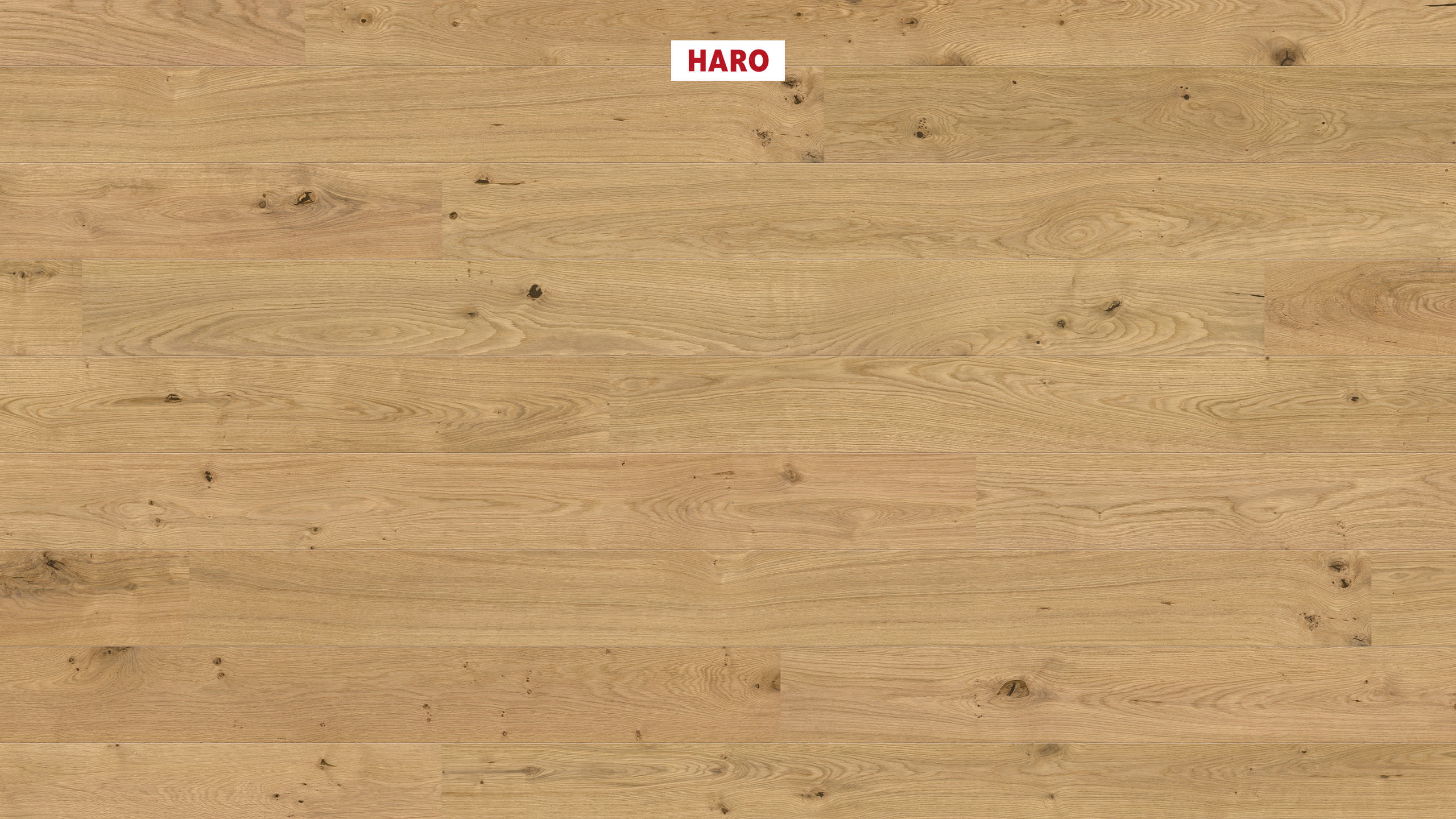 HARO PARQUET 2500 1-lama 180 2V Roble invisible Universal cepillado naturaDur Top Connect