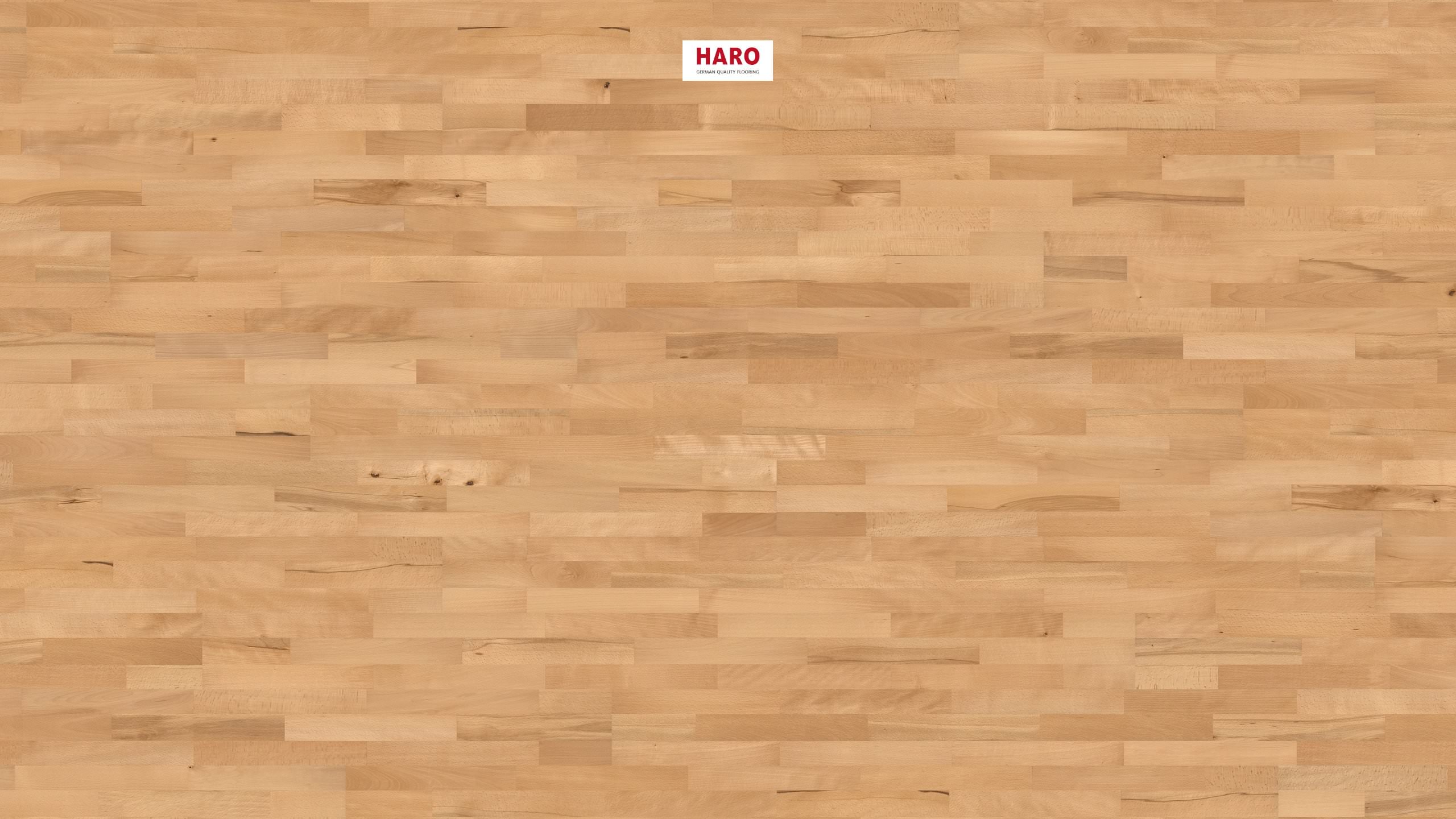 HARO PARQUET 4000 3-lamas Haya vaporizada Favorit naturaDur Top Connect