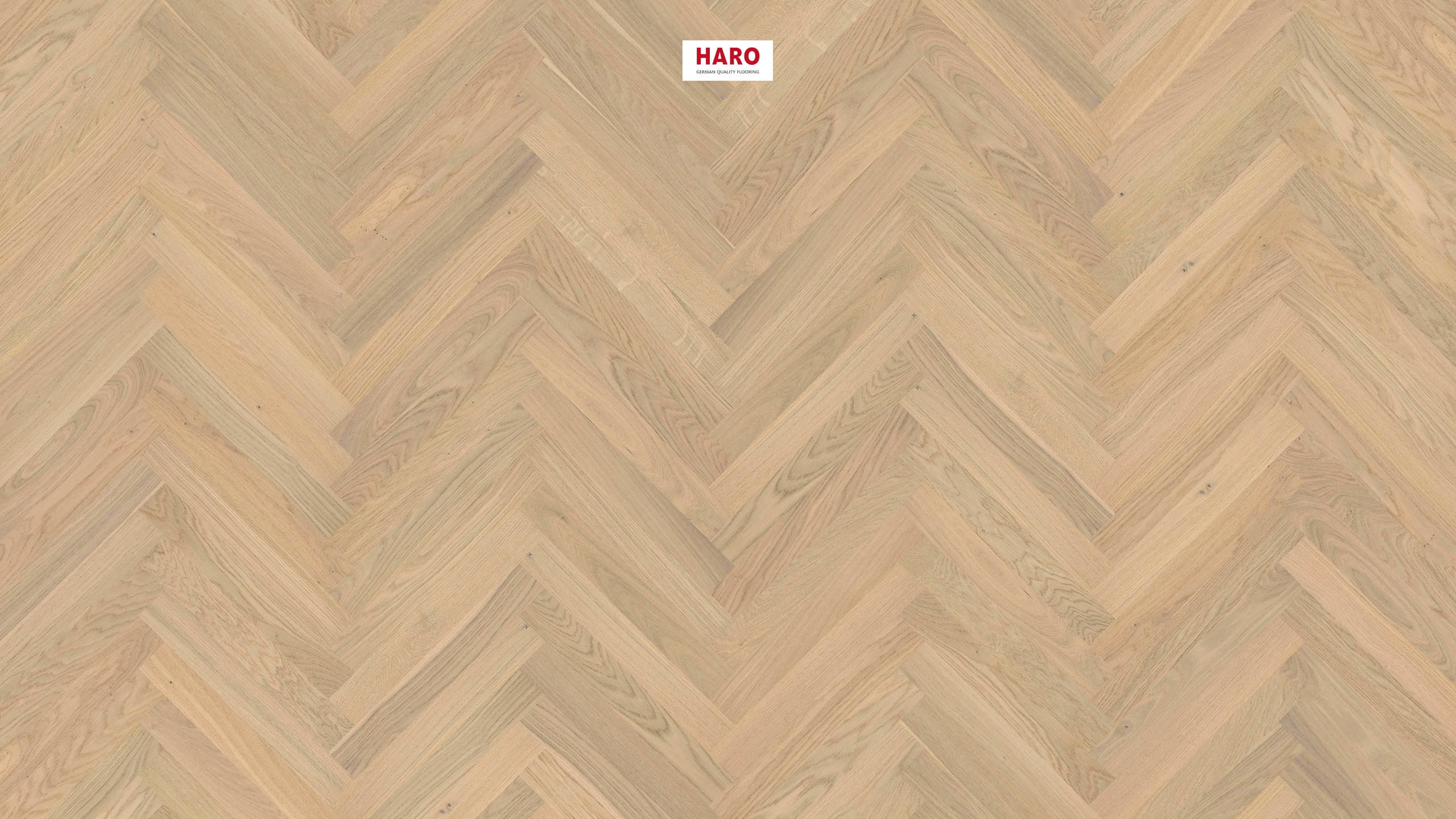 HARO PARQUET 3000 Lama Allegro Roble blanco luz Objekt naturaDur Nut & Feder Rechts