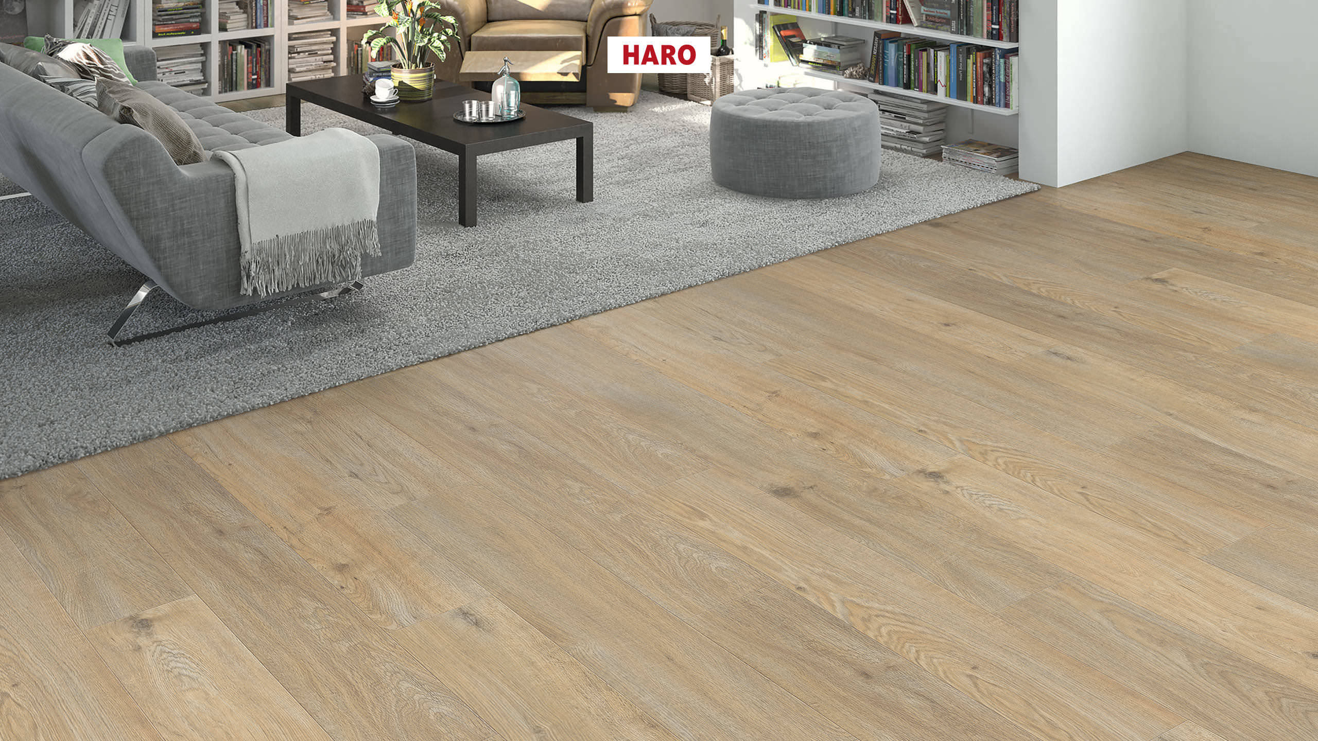 DISANO by HARO WaveAqua 1-lama 4V Roble Quebec alabastro* authentic Top Connect