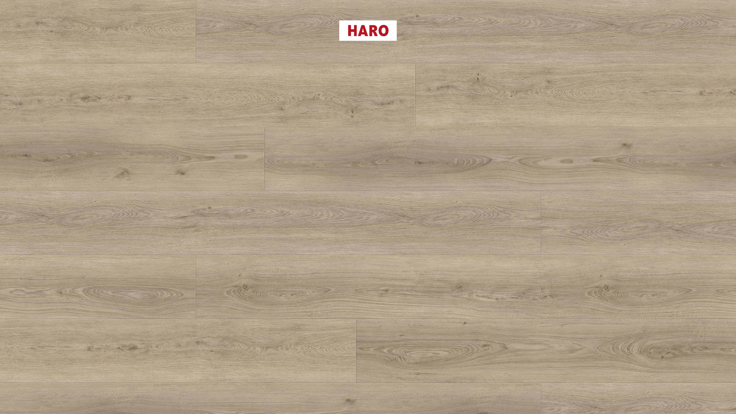 DISANO by HARO ClassicAqua 1-lama XL 4V Roble Sheffield marrón gris* authentic Top Connect