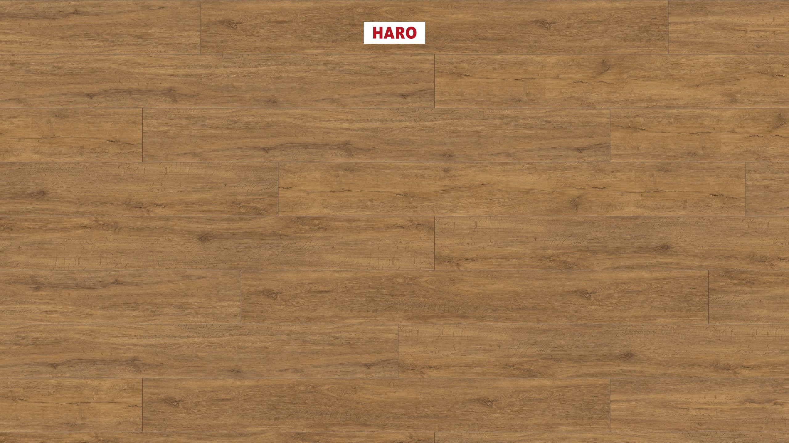 DISANO by HARO ClassicAqua 1-lama XL 4V Roble de montaña* cepillado Top Connect