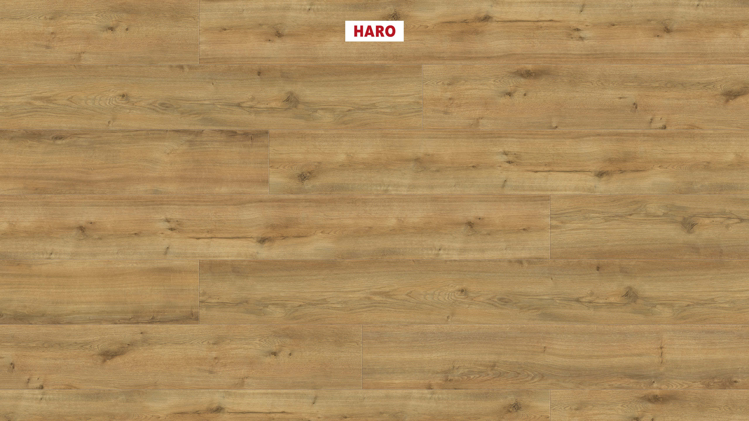 DISANO by HARO ClassicAqua 1-lama XL 4V Roble Peak miel* cepillado Top Connect