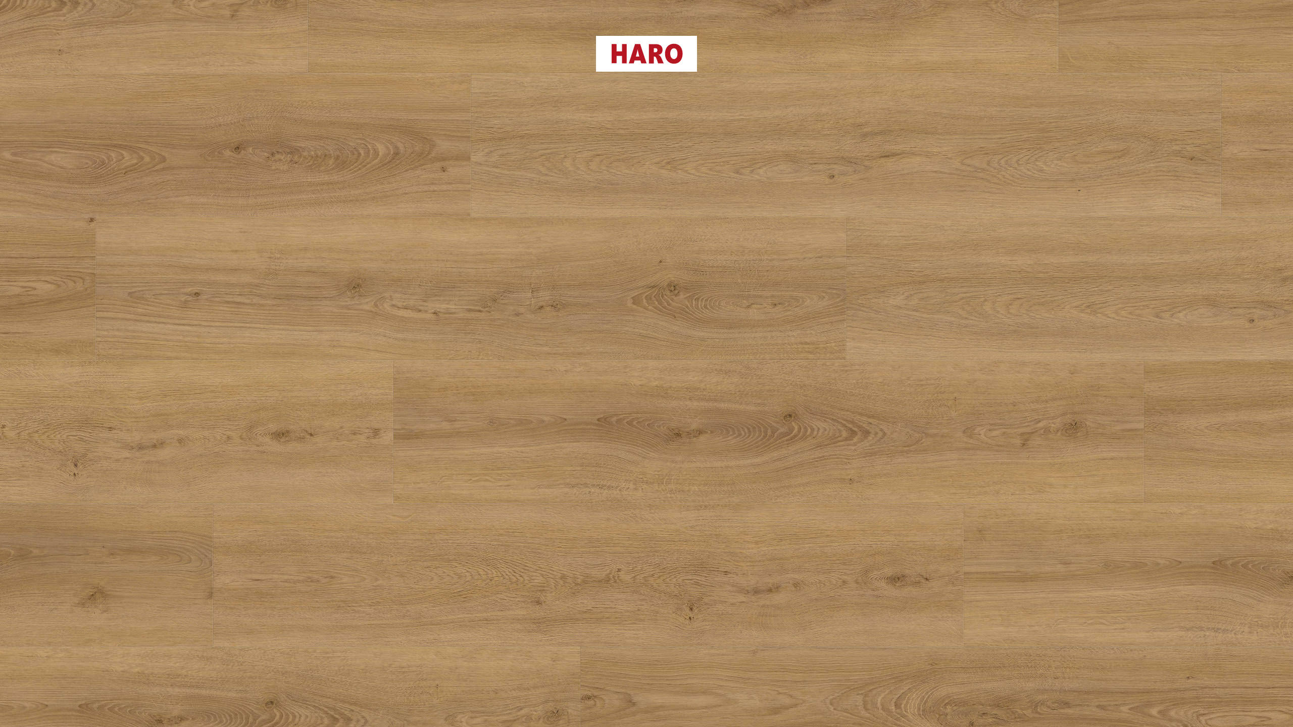 DISANO by HARO Project 1-lama 4VM Roble Sheffield miel* authentic