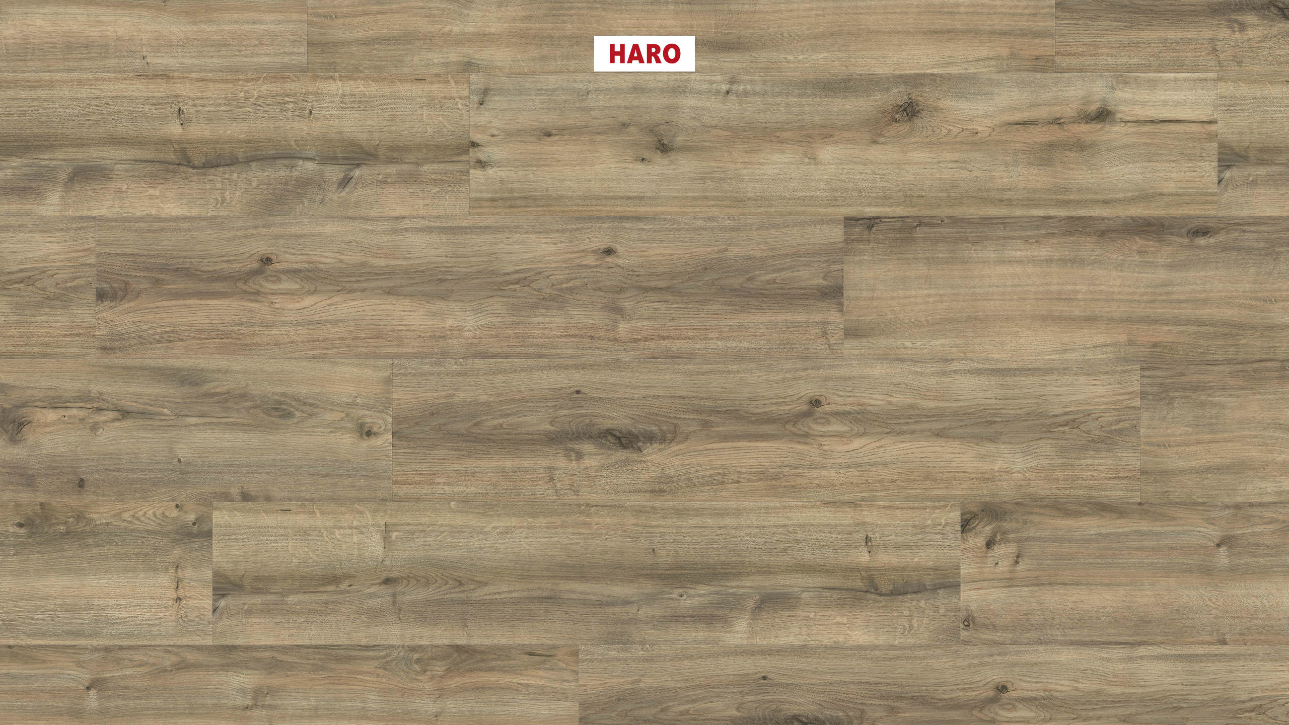 DISANO by HARO Project 1-lama 4VM Roble Peak greige* cepillado