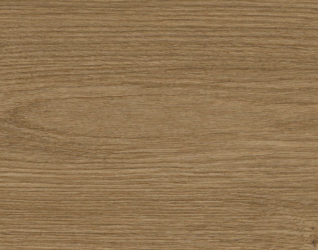 DISANO by HARO ClassicAqua Planche large XL 4V Chêne Picardie nature* authentic Top Connect