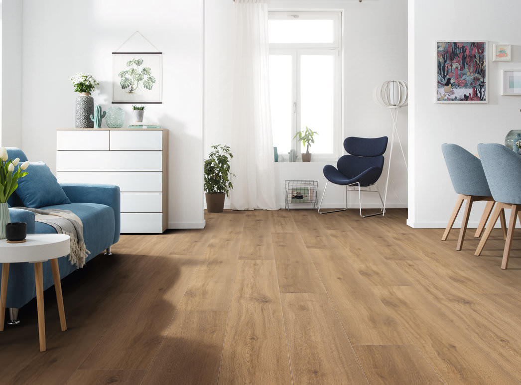 DISANO by HARO ClassicAqua Planche large XL 4V Chêne Provence nature* authentic Top Connect