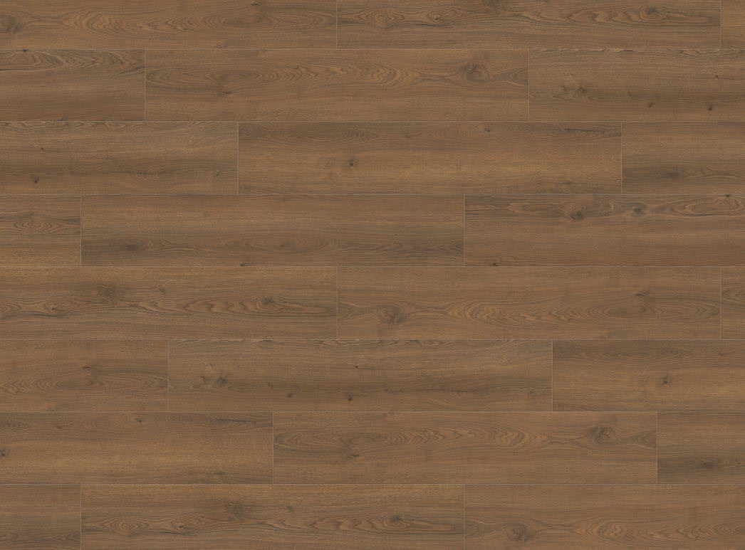 Image du produit 2 Campus 4V Chêne Flavia fumé* authentic