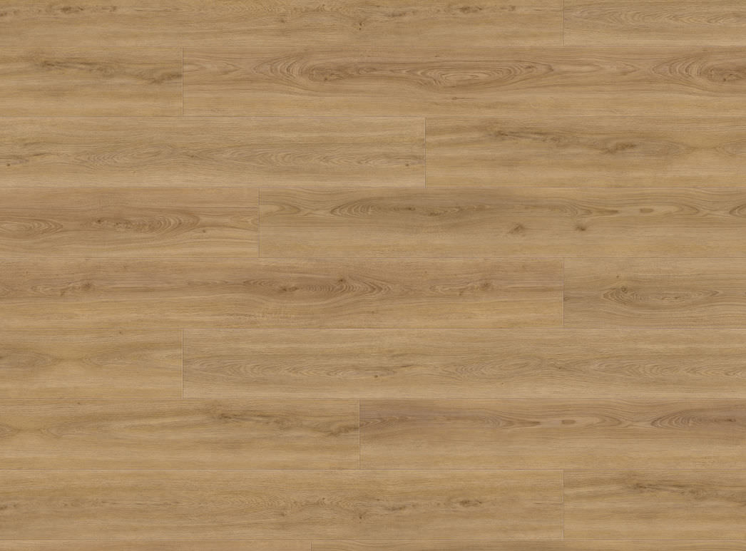 Image du produit 2 Planche large XL 4V Chêne Sheffield nature* authentic