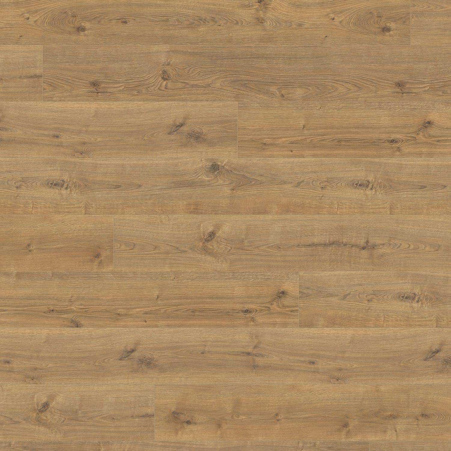 HARO Sol Stratifié TRITTY 100 Gran Via 4V Chêne Portland nature* authentic Top Connect