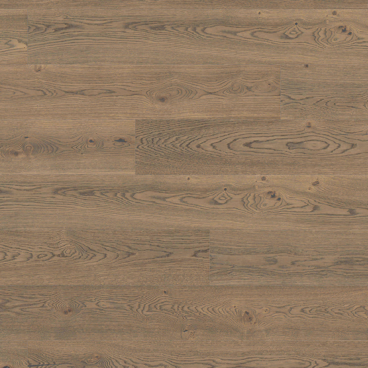 HARO PARQUET 4000 Planche large Plaza 240 4V Chêne gris tabac Universal alpin brossé naturaLin plus Top Connect