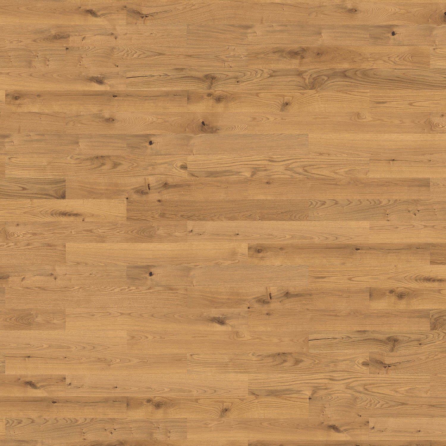 HARO PARQUET 4000 Planche large Prestige Chêne Sauvage brossé naturaLin plus Rainure & languette