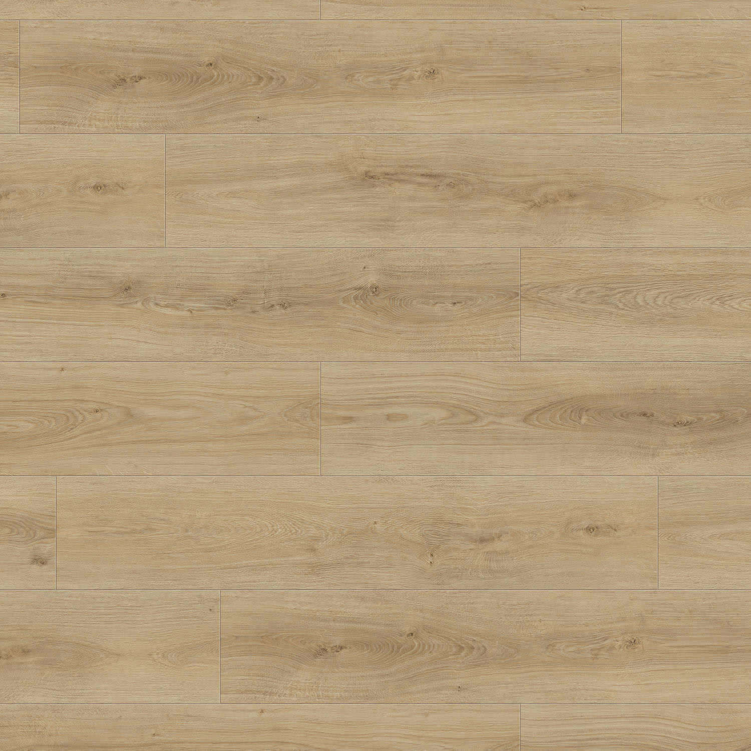 DISANO by HARO LifeAqua Planche large à l'ancienne 4V Chêne Sheffield puro* authentic Top Connect