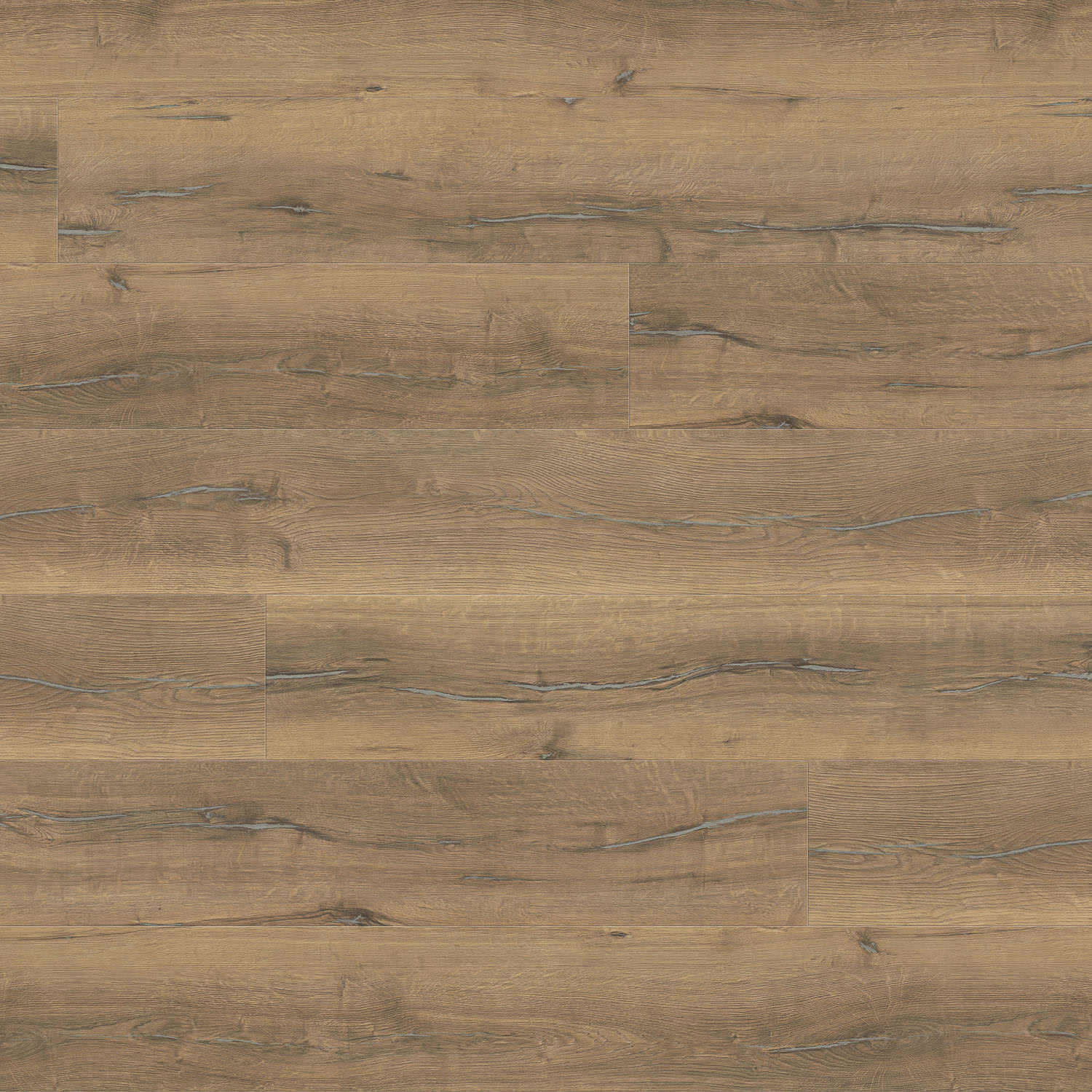 HARO Sol Stratifié TRITTY 200 Aqua Gran Via 4V Chêne Metallic nature* authentic Top Connect