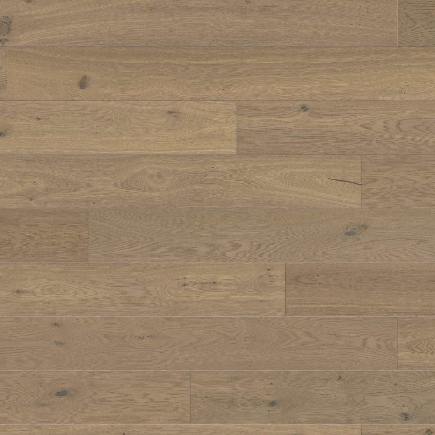 HARO PARQUET 4000 Planche large Plaza 240 4V Chêne fumé léger blanc puro Universal brossé naturaLin plus Top Connect