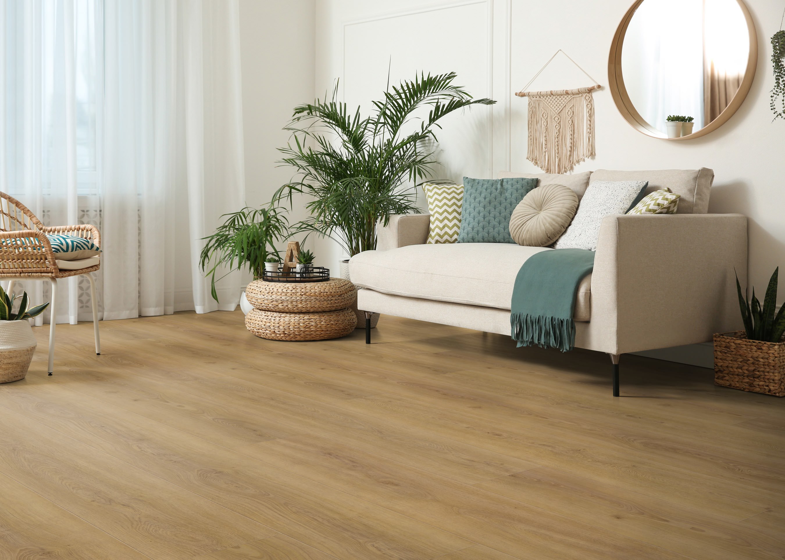 DISANO by HARO ClassicAqua Planche large XL 4V Chêne Sheffield miel* authentic Top Connect