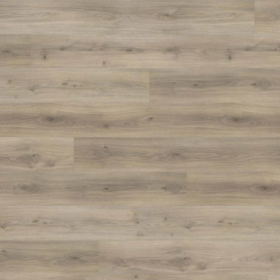 Produktbild HARO Sol Stratifi&eacute; TRITTY 200 Aqua Gran Via 4V Ch&ecirc;ne Emilia gris velours* authentic soft Top Connect