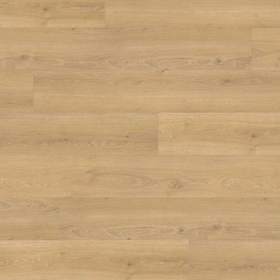 Produktbild HARO Sol Stratifi&eacute; TRITTY 200 Aqua Gran Via 4V Ch&ecirc;ne Flavia puro* authentic Top Connect