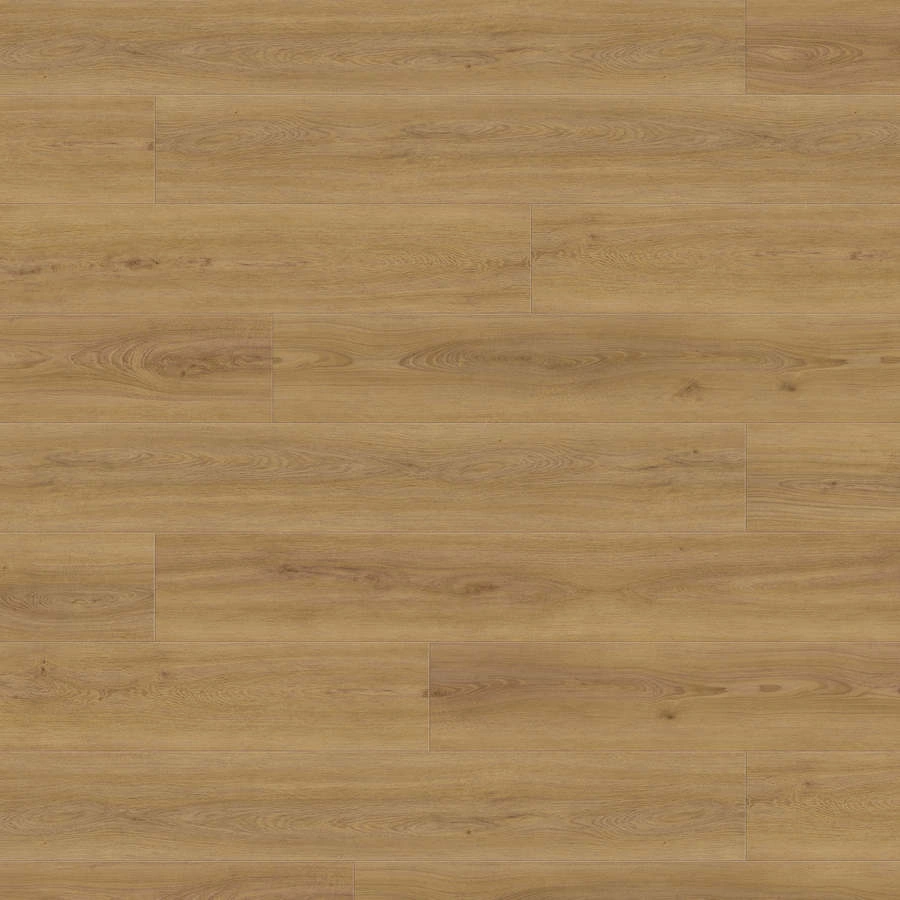 Produktbild DISANO by HARO ClassicAqua Planche large XL 4V Ch&ecirc;ne Sheffield miel* authentic Top Connect
