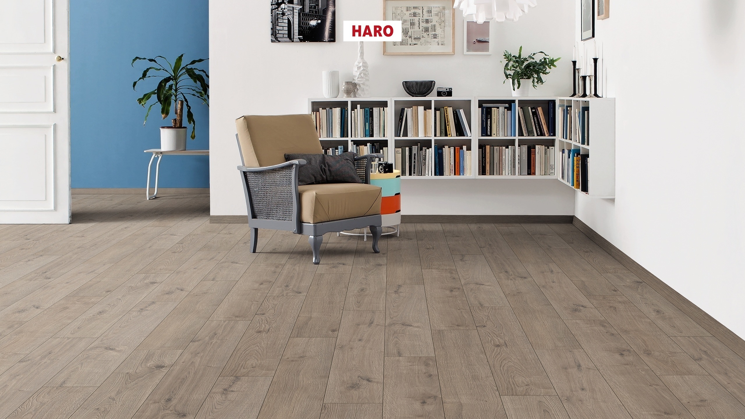 HARO Sol Stratifié TRITTY 100 Planche large à l'ancienne 4V Chêne Portland gris* authentic Top Connect