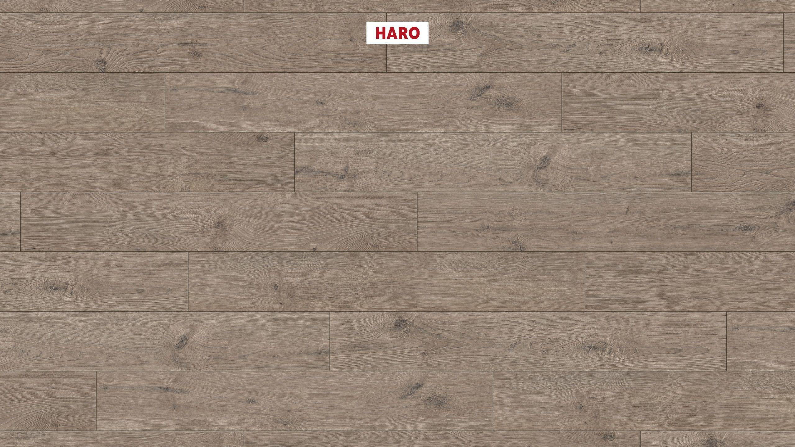 HARO Sol Stratifié TRITTY 100 Planche large à l'ancienne 4V Chêne Portland gris* authentic Top Connect