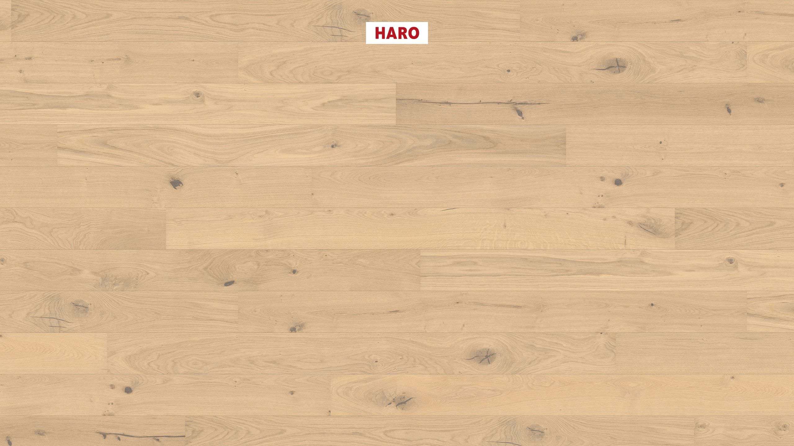HARO PARQUET 4000 Planche large à l'ancienne 180 2V Chêne invisible Sauvage brossé naturaDur Top Connect