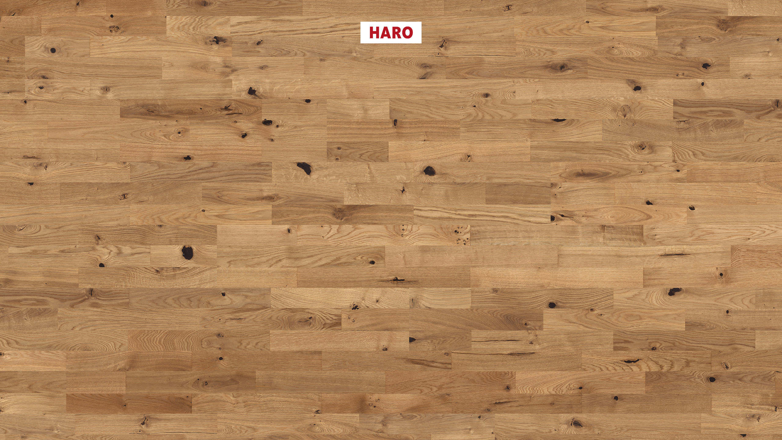 HARO PARQUET 4000 À l'anglaise Chêne Sauvage brossé naturaLin plus Top Connect