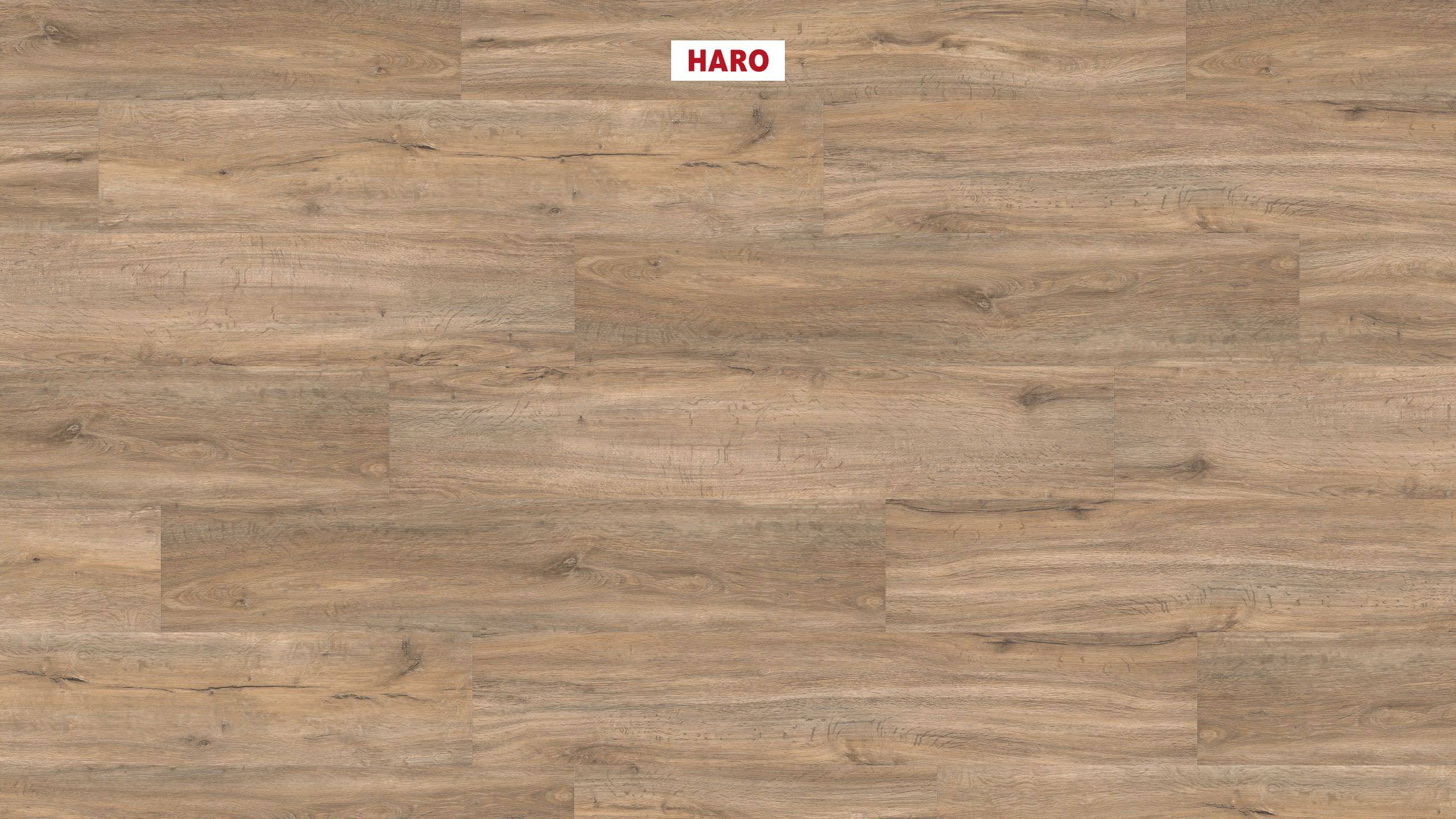 DISANO by HARO Saphir Planche large à l'ancienne 4VM Chêne vert creme* brossé Top Connect