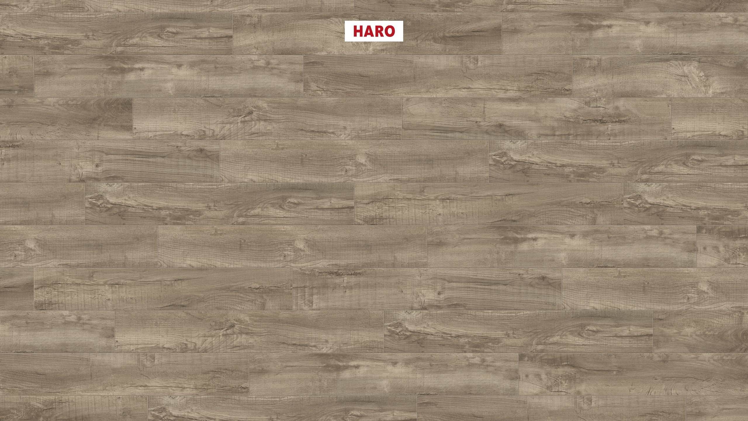 HARO CORKETT Arteo XL 4V Shabby Oak gris* brossé permaDur Top Connect