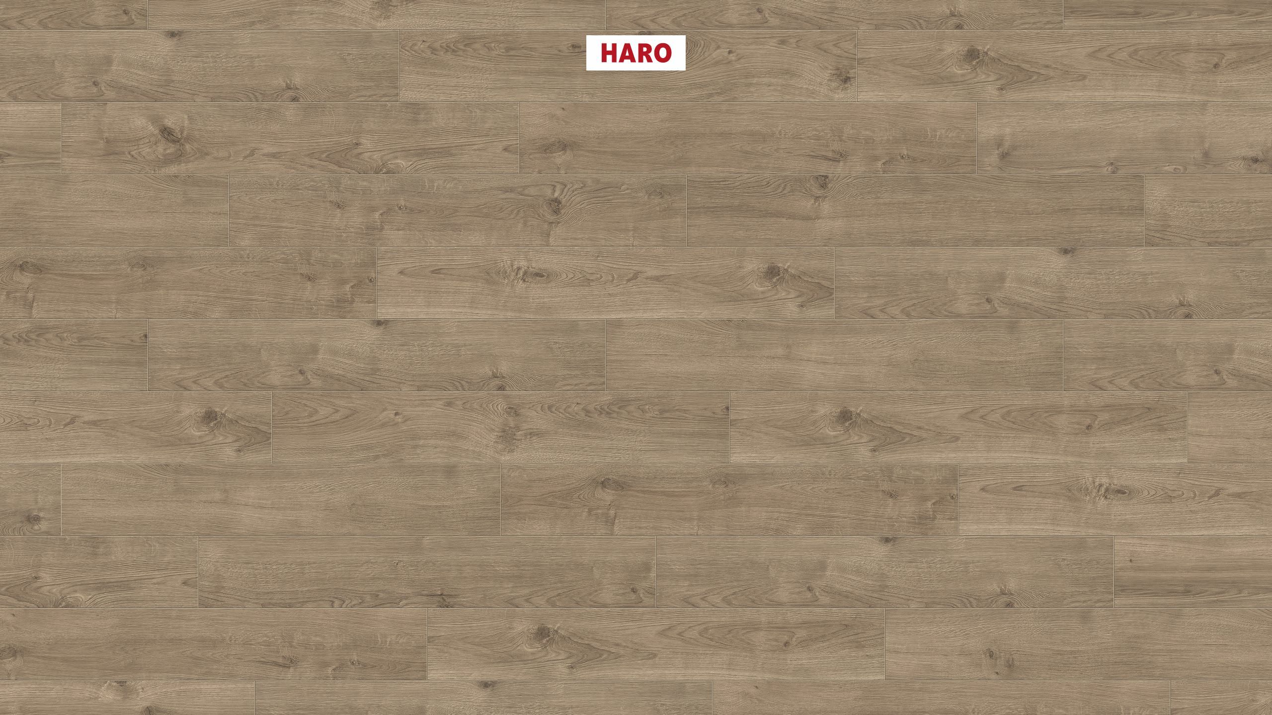 HARO CORKETT Arteo XL 4V Chêne Portland gris foncé* brossé permaDur Top Connect