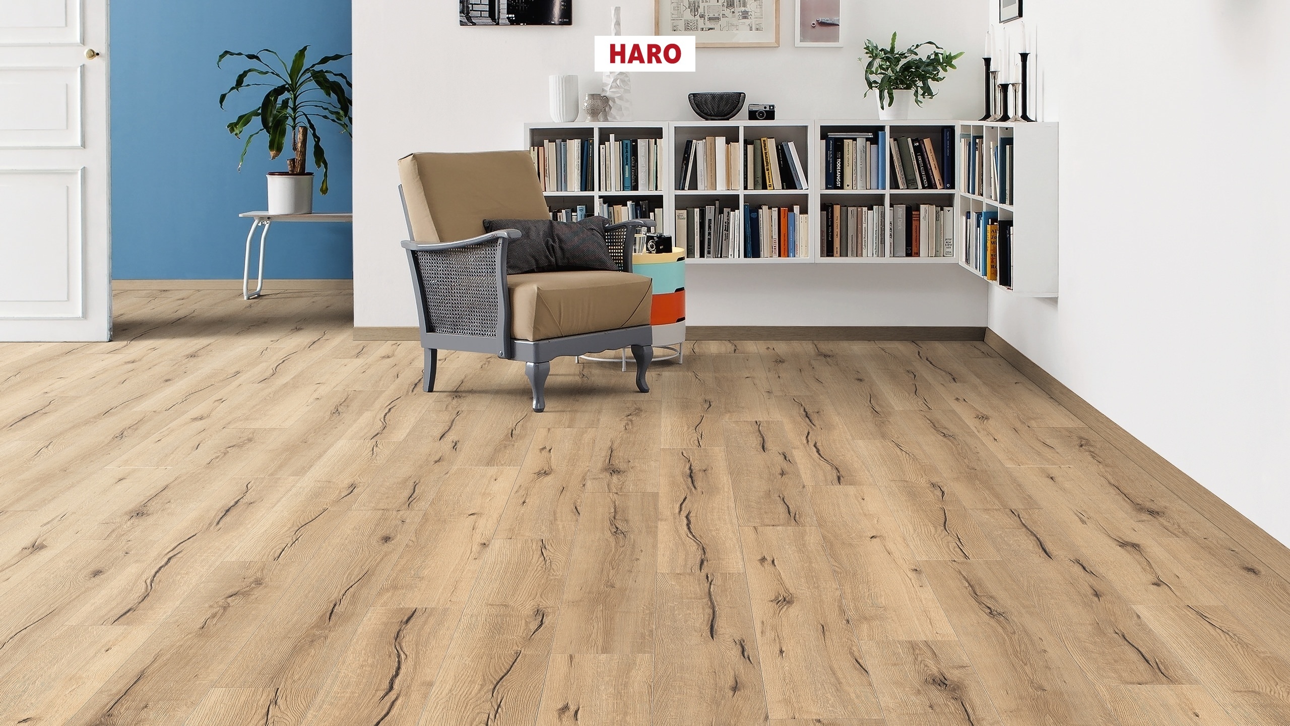 HARO Sol Stratifié TRITTY 100 Planche large à l'ancienne 4V Chêne italica creme* authentic Top Connect