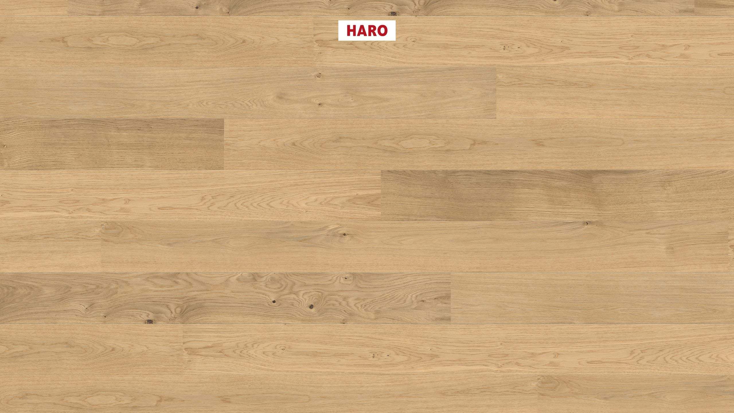 HARO PARQUET 4000 Planche large à l'ancienne 180 2V Chêne invisible Markant brossé permaDur Top Connect
