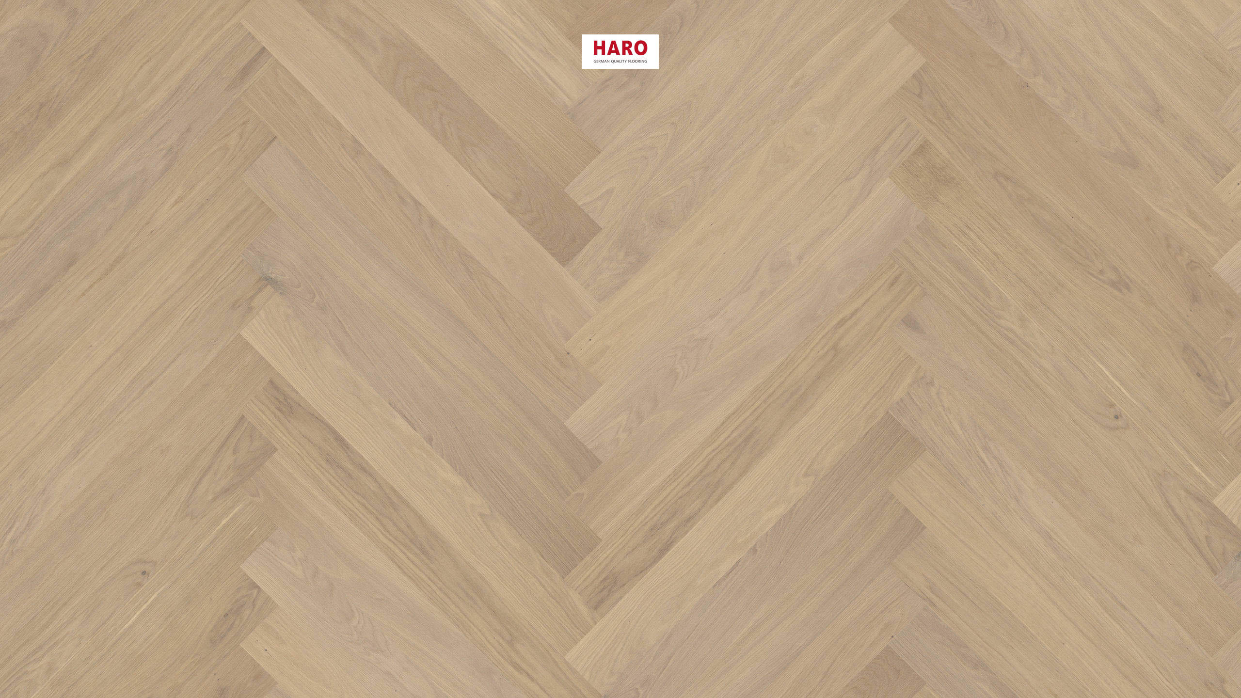 HARO PARQUET 4000 Planche large Prestige Chêne blanc clair Markant brossé naturaDur Rainure & languette
