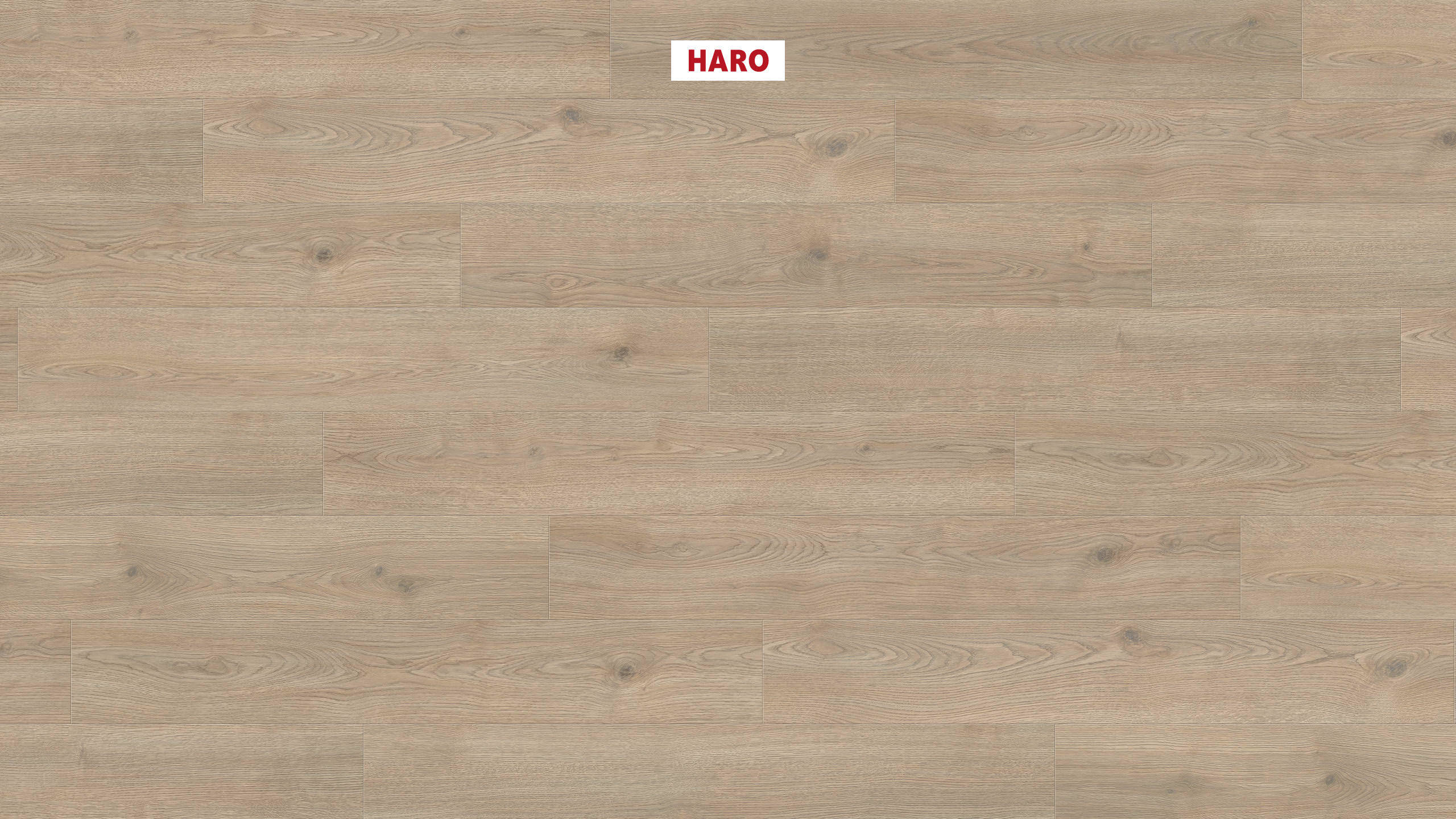 HARO Sol Stratifié TRITTY 200 Aqua Planche large à l'ancienne 4V Chêne Contura coleur muraille* authentic Top Connect