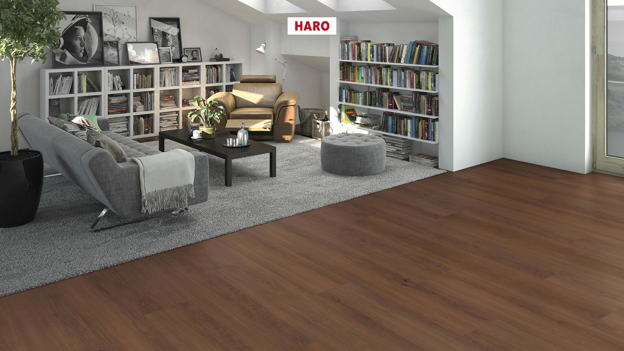 DISANO by HARO LifeAqua Planche large XL 4V Chêne Cambridge* brossé Top Connect