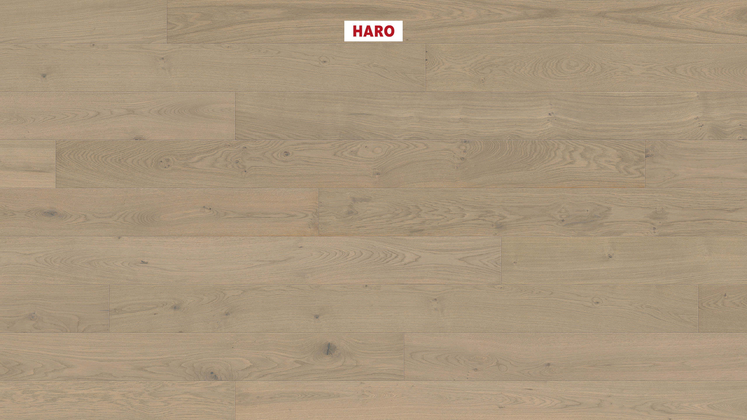 HARO PARQUET 4000 Planche large Maxim 4V Chêne gris sable Markant brossé naturaDur Rainure & languette