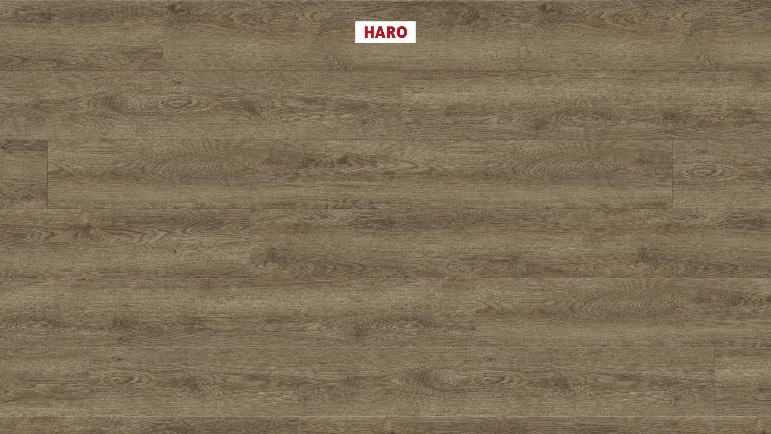 DISANO by HARO WaveAqua Planche large XL 4V Chêne Victoria marron velours* authentic Top Connect