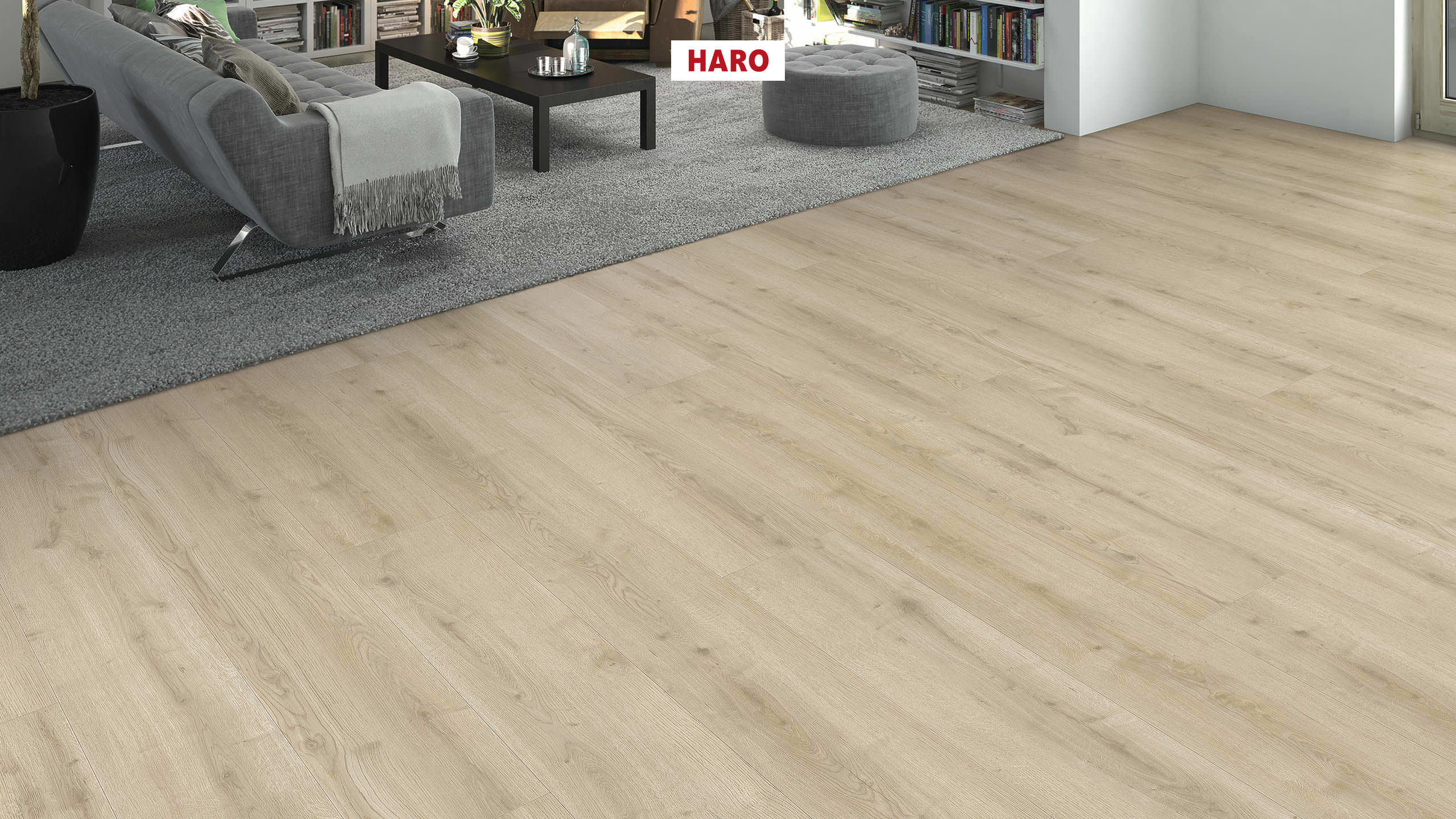 DISANO by HARO WaveAqua Planche large XL 4V Chêne Ontario blanc* authentic Top Connect