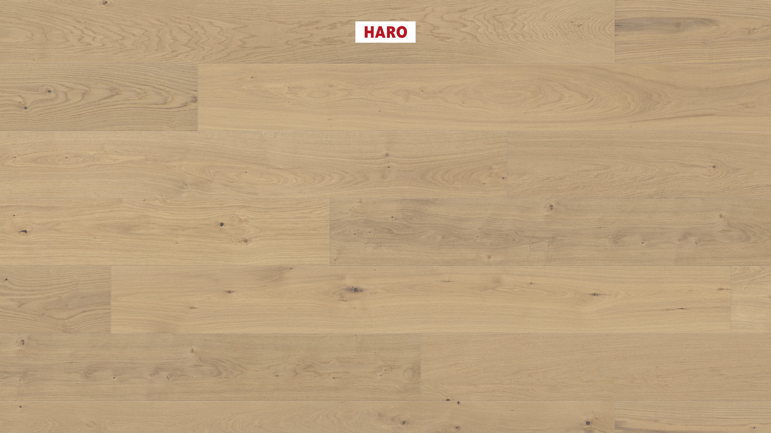 HARO PARQUET 4000 Planche large Plaza 240 4V Chêne invisible Markant brossé naturaDur Top Connect